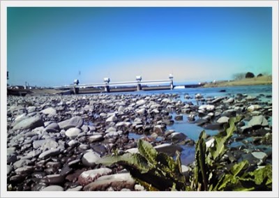 tamagawa090315