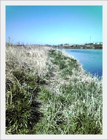 tamagawa090315b