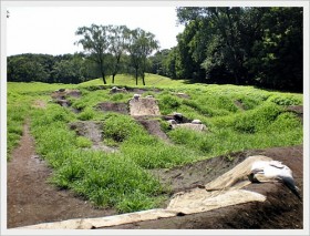 武蔵野公園ダートコース